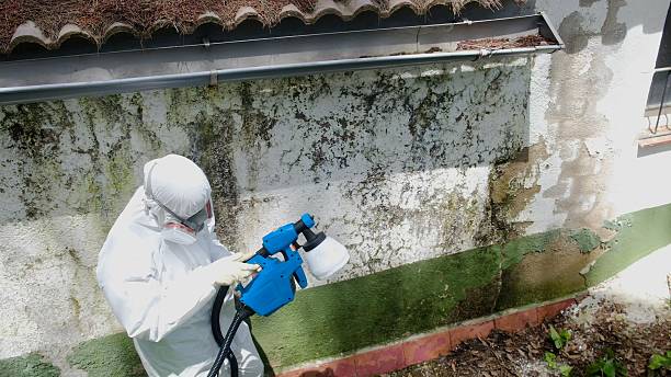 Top rated local Attic Mold Remediation specialists in Piney Point, MD